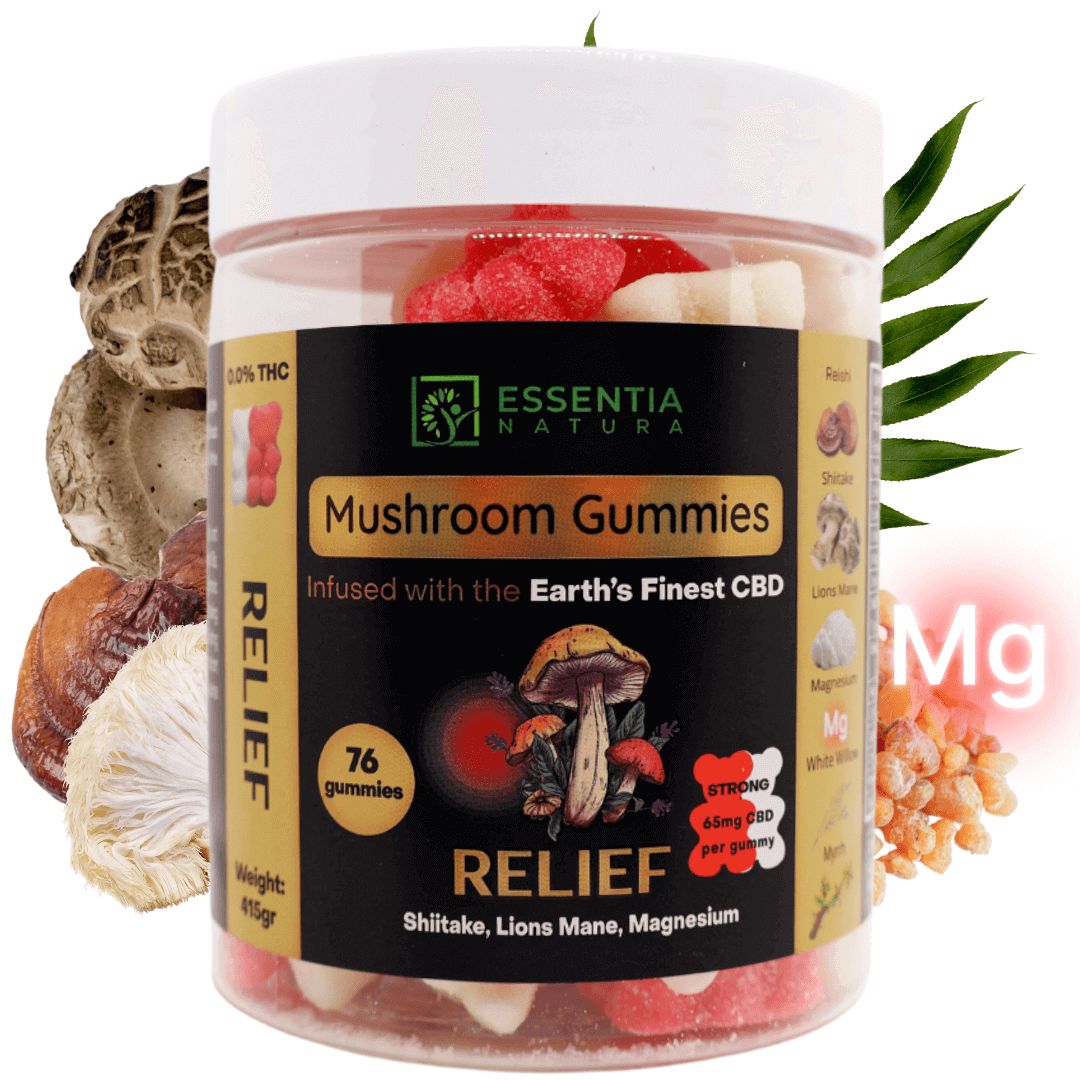 CBD edibles UK Reishi mushroom gummies UK Lion's Mane gummies UK CBD wellness products UK Adaptogenic gummies UK Vegan CBD gummies UK UK CBD gummies for anxiety Mushroom extract gummies UK Natural CBD gummies UK CBD and mushroom blend gummies UK