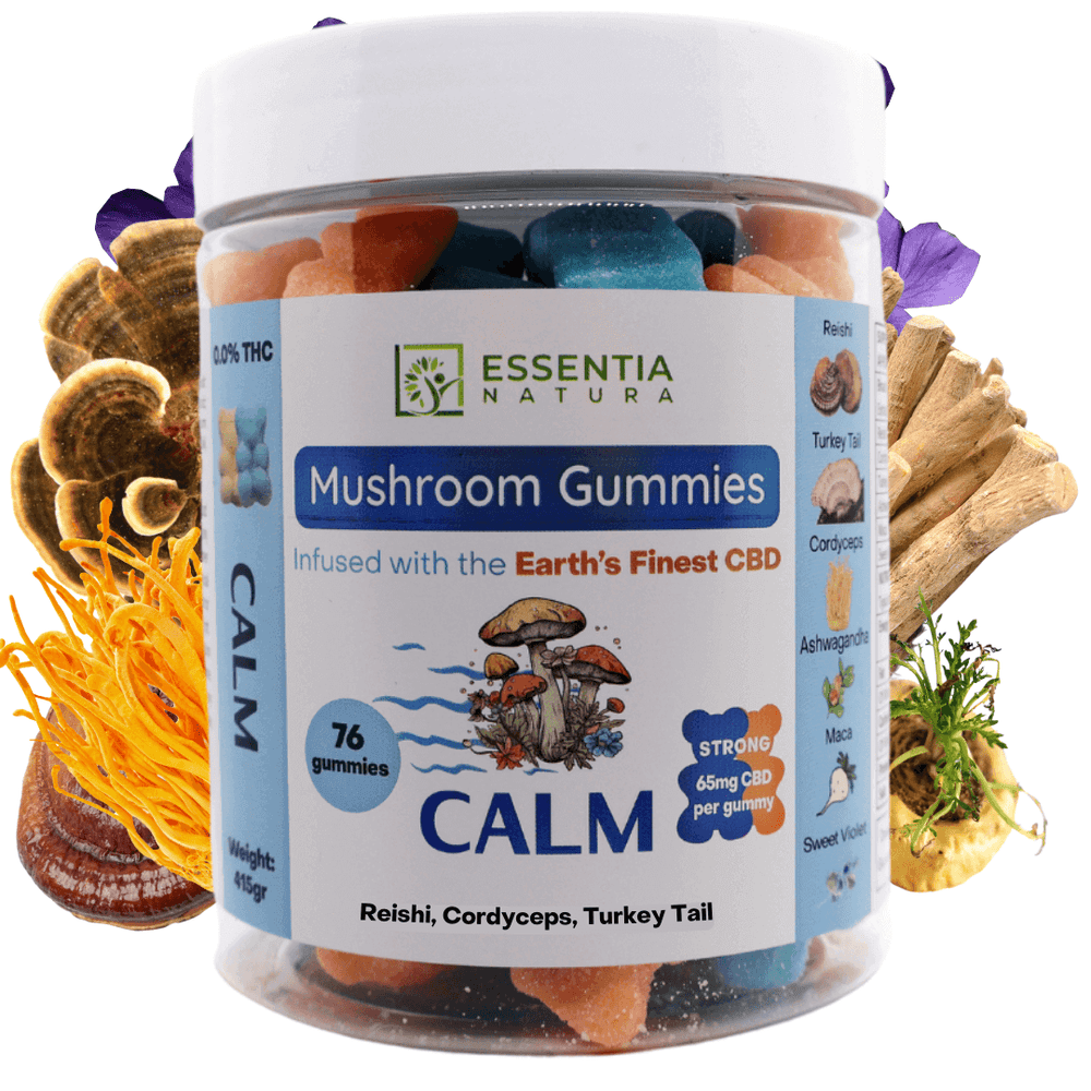 CBD edibles UK Reishi mushroom gummies UK Lion's Mane gummies UK CBD wellness products UK Adaptogenic gummies UK Vegan CBD gummies UK UK CBD gummies for anxiety Mushroom extract gummies UK Natural CBD gummies UK CBD and mushroom blend gummies UK